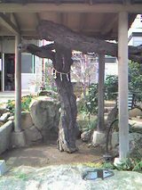 a8661b97.jpg