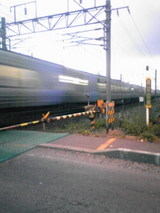 c5f76397.jpg