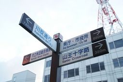 05DSC04337