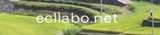 ecollabo.net"