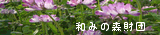 和みの森財団"