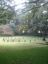 d349958d.jpg