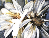 9e4483d9.JPG