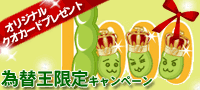 �ޥͥå���FX����������