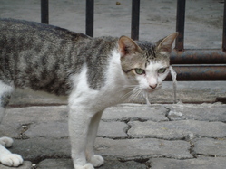 1`