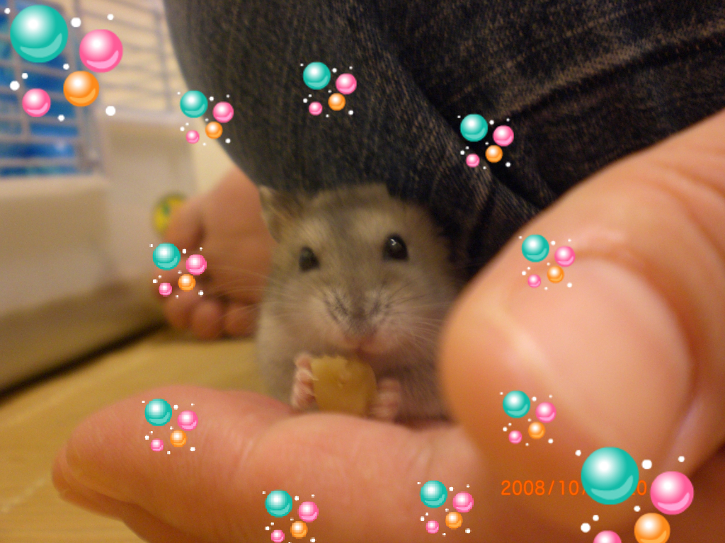 ハナ