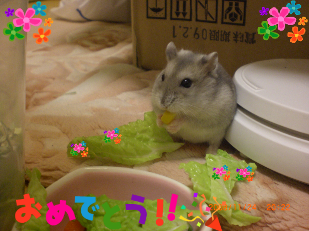 ハナ