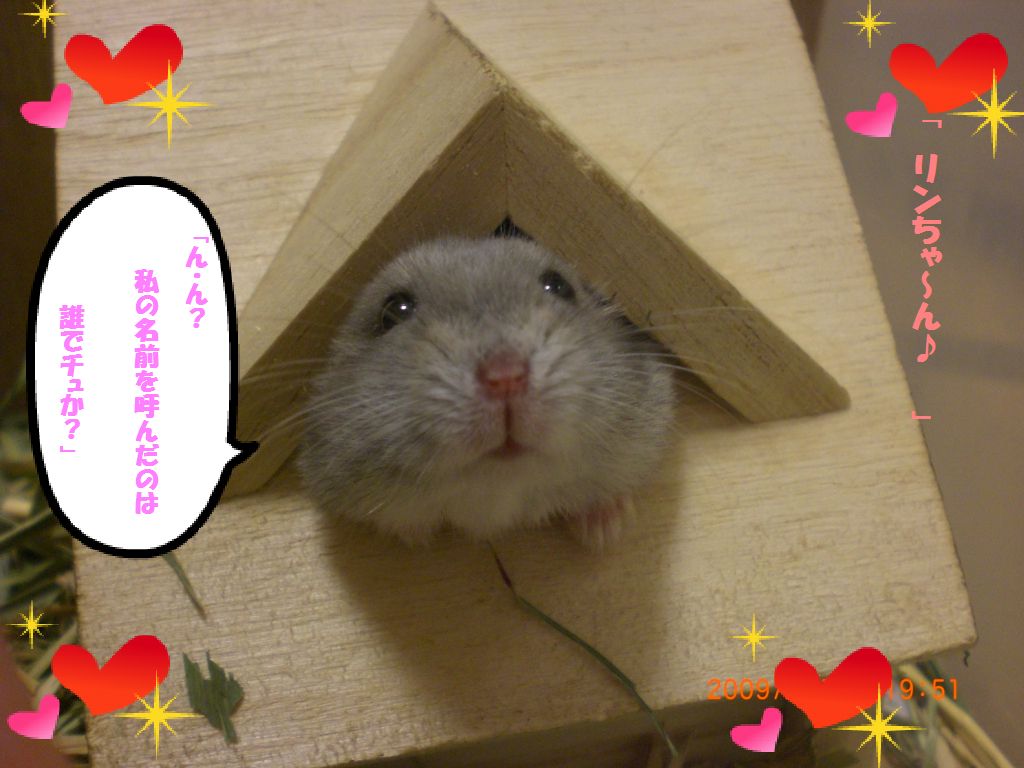 リン