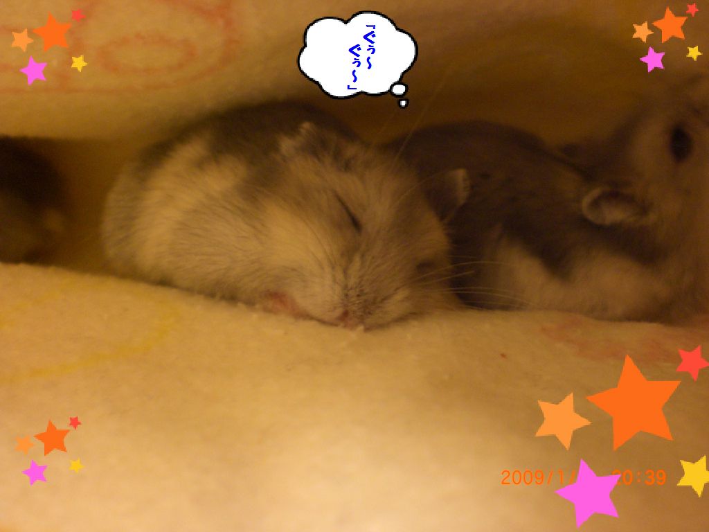 zzz・・・