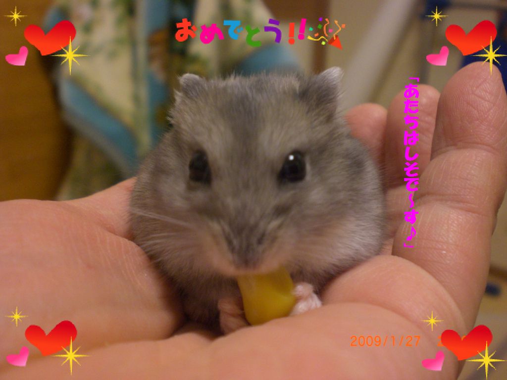 しそ