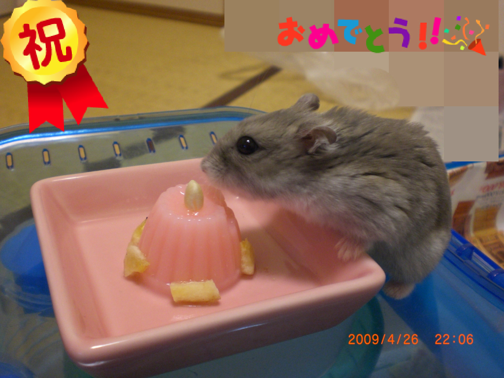 ブゥ
