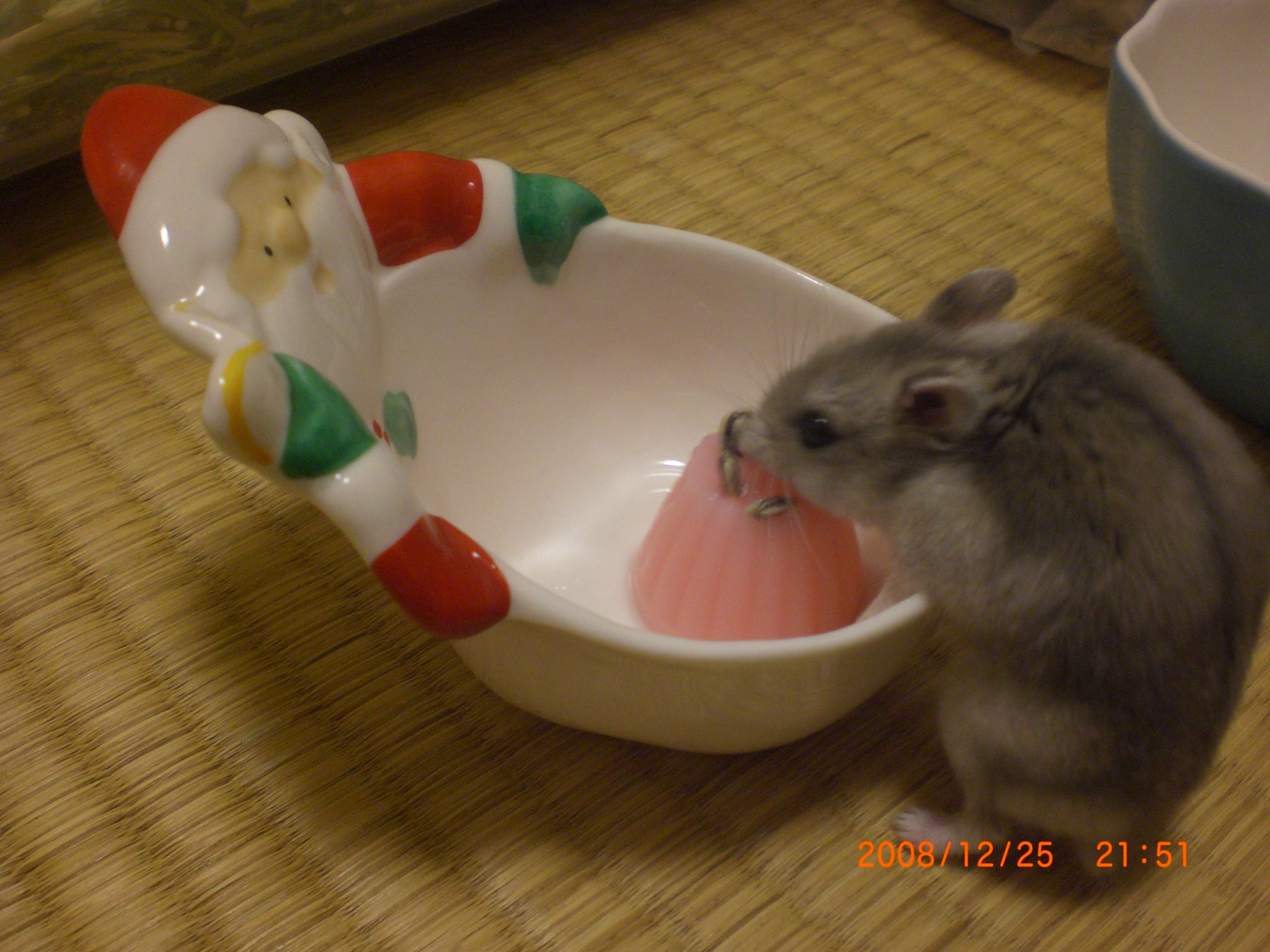 ハナママ