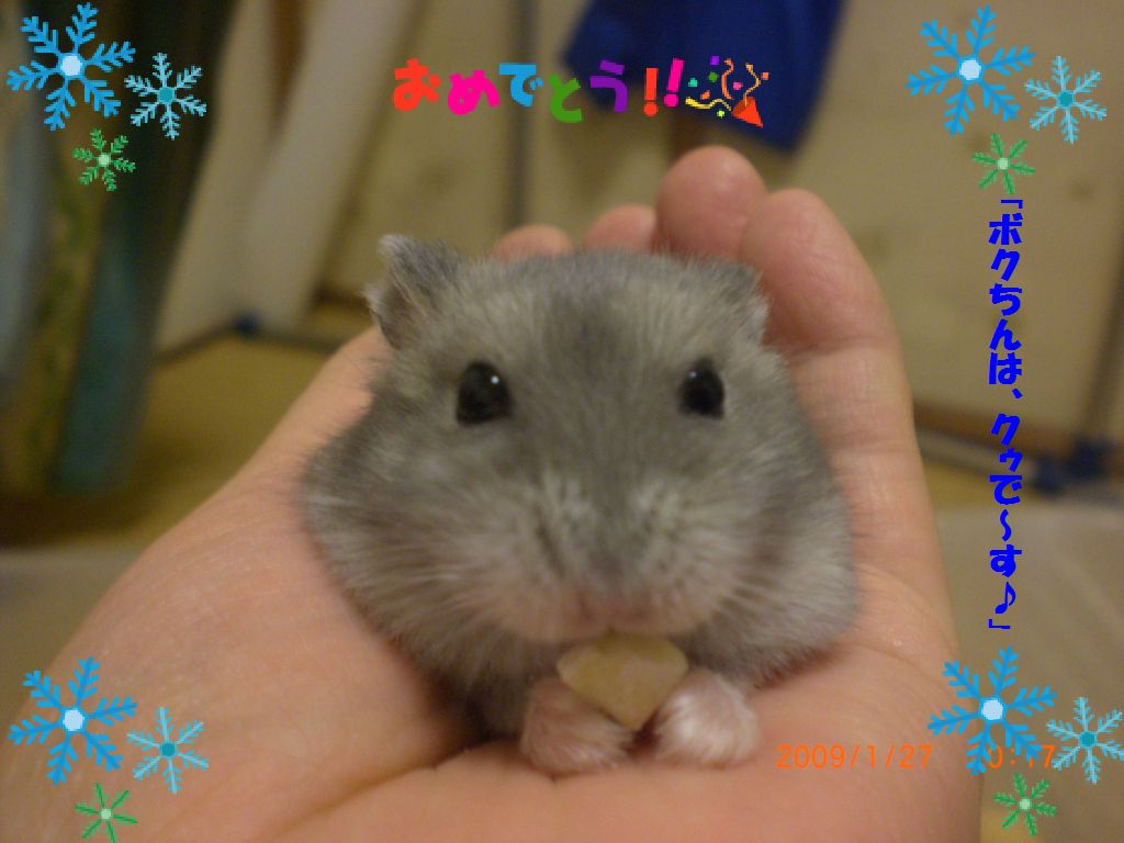 クゥ