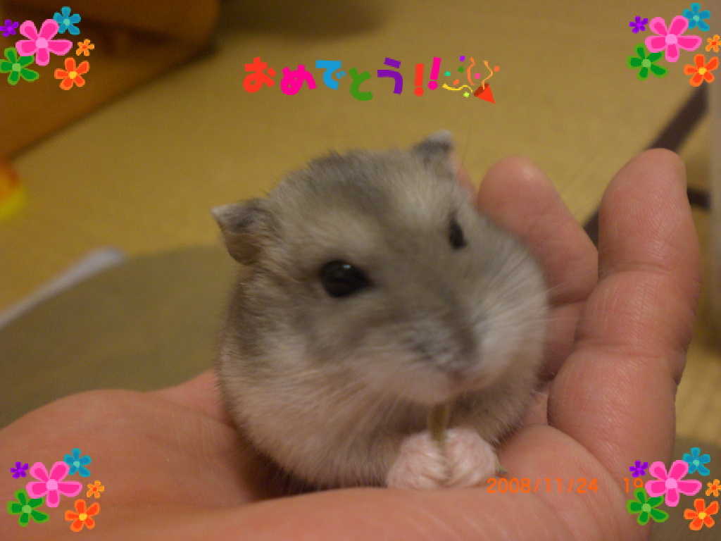 ハナ