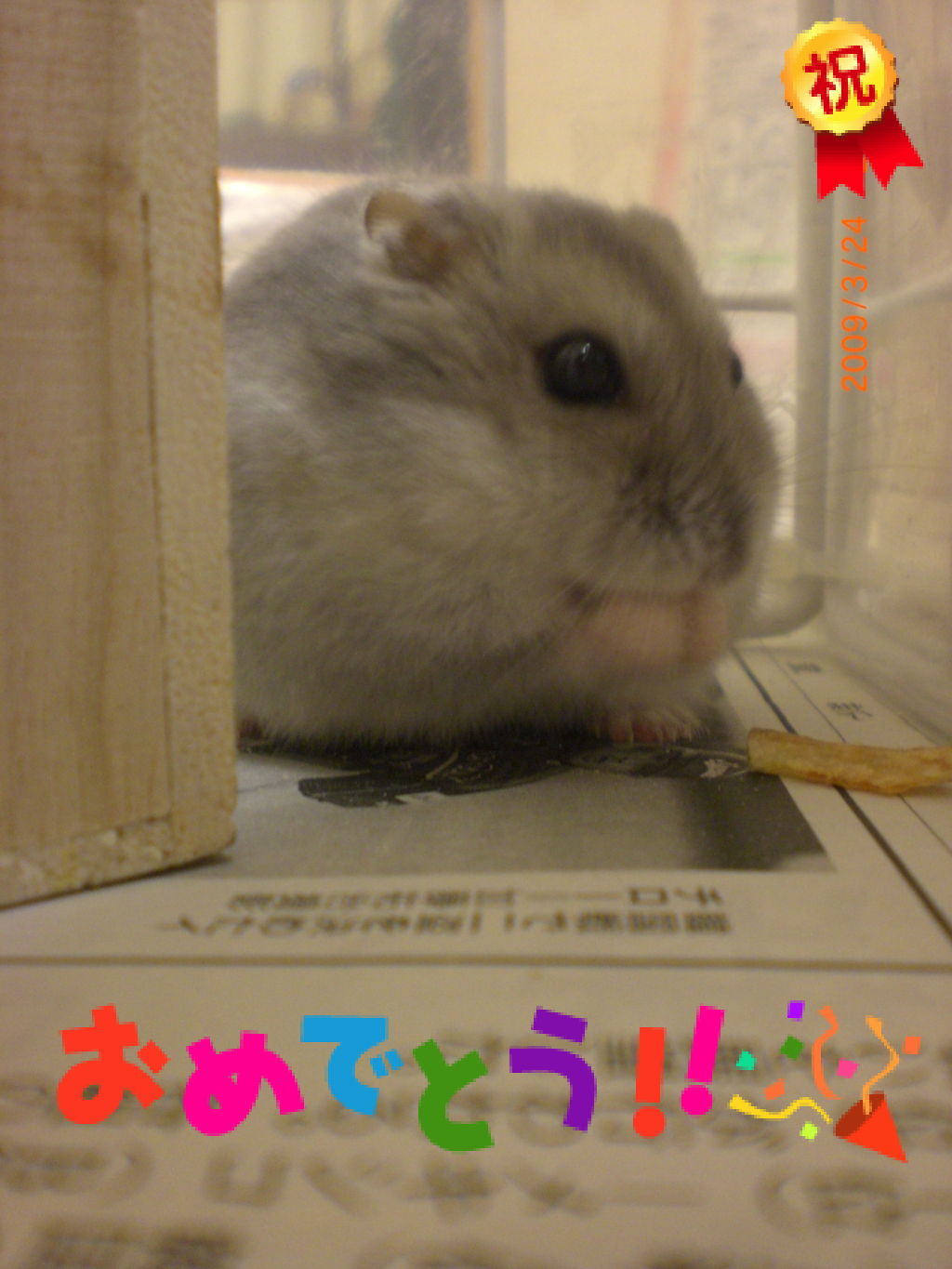 ハナ