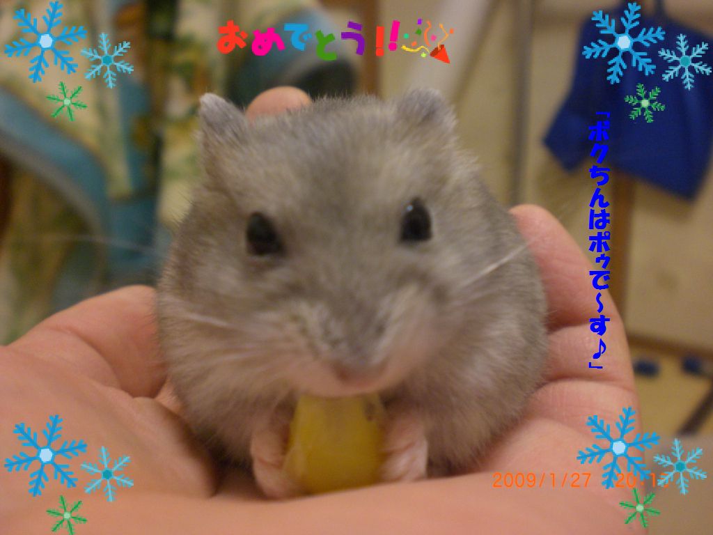 ポゥ