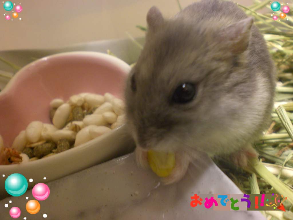 ブゥ
