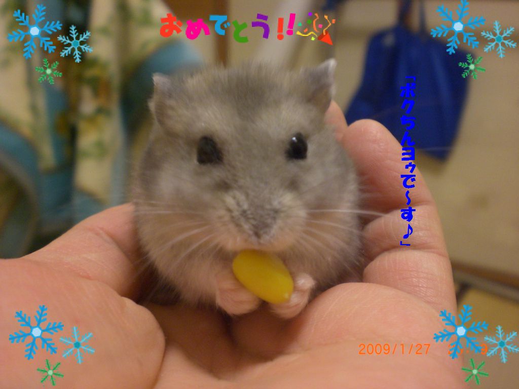 ヨゥ