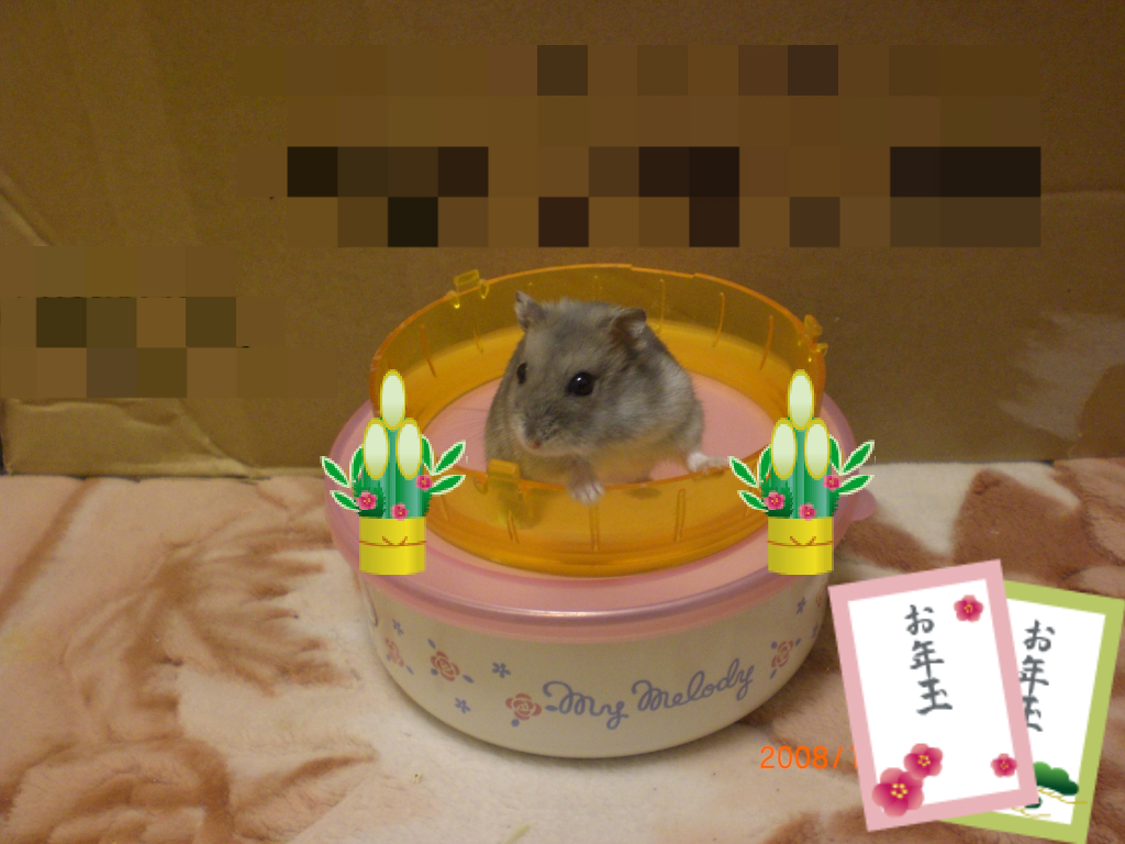 ブゥパパ