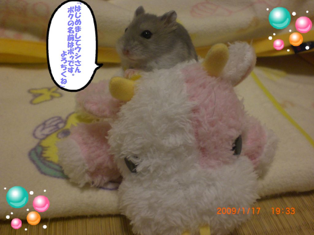 ポゥ