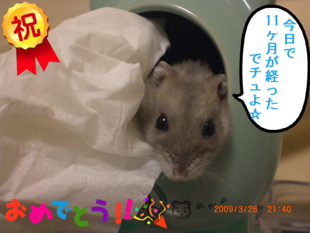 ブゥ
