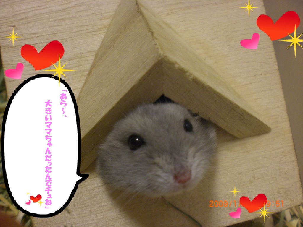 リン