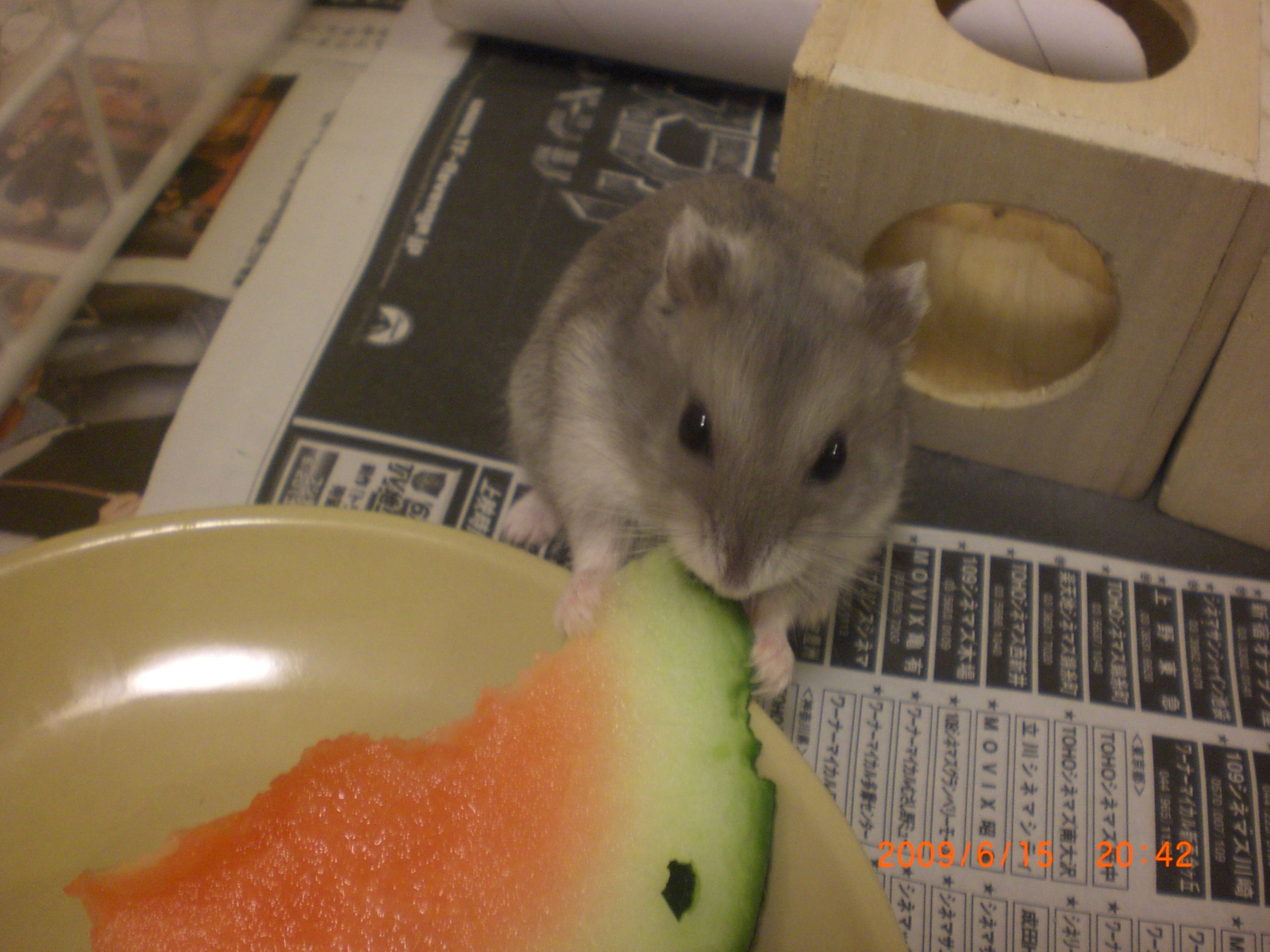 クゥ