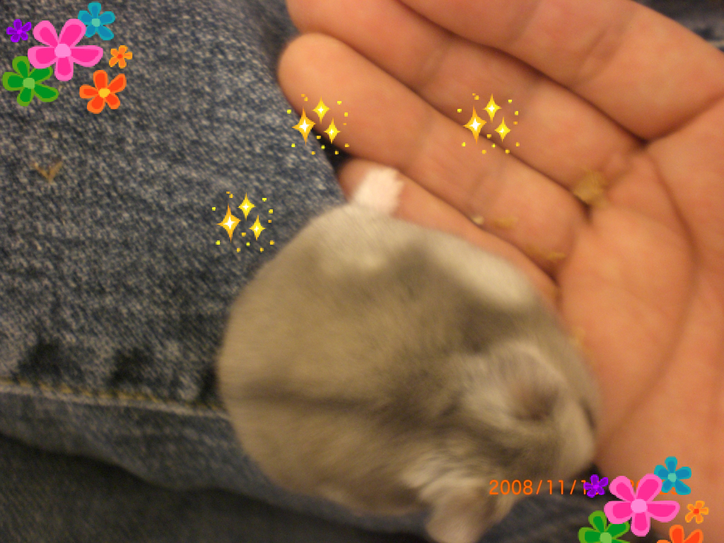 ハナ
