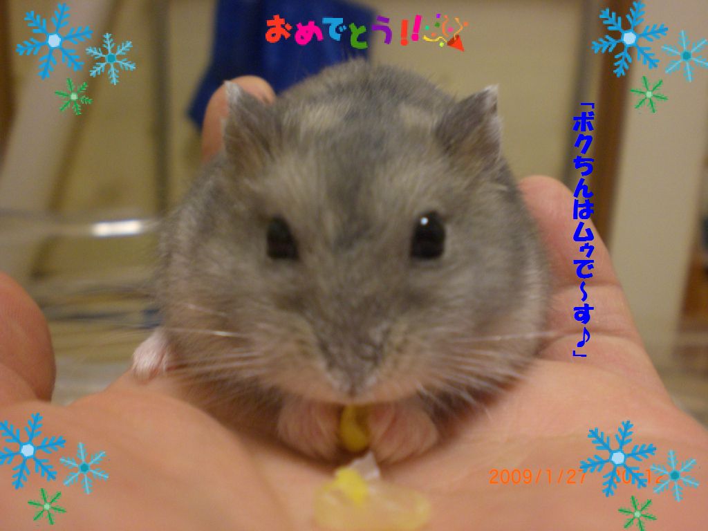 ムゥ