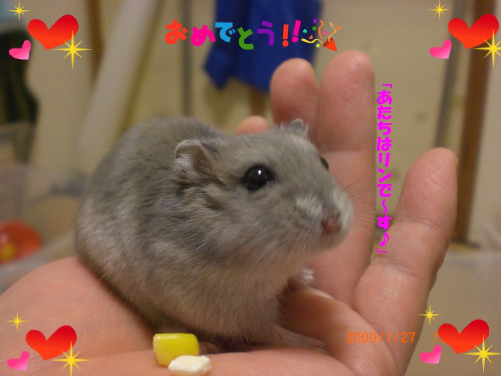 リン