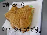 BlogPaint