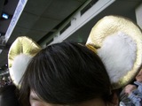 どあら