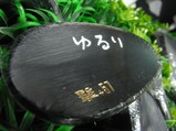 7920b3a7.jpg