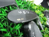 d1008fe8.jpg