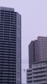 b0c79175.jpg