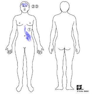20090603body