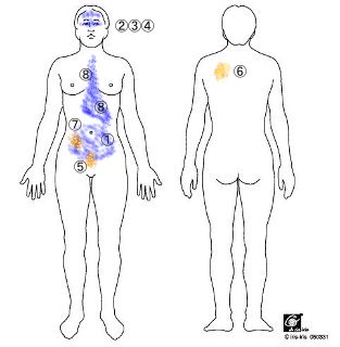 20090604body
