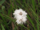 �勵����