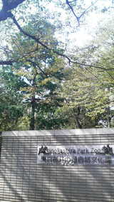 9553d026.jpg