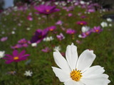 f411636f.jpg