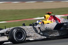 Red Bull Auction