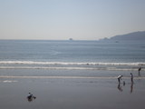 海