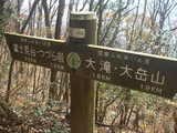 IMGP2532