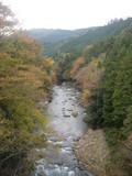 IMGP2578