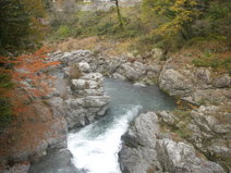 IMGP2574
