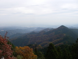 IMGP2515