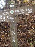 IMGP2543