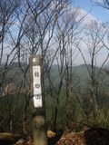 IMGP2547
