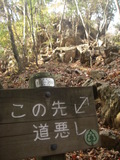 IMGP2539