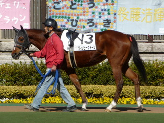 ������ӡ���������-������ѥɥå�